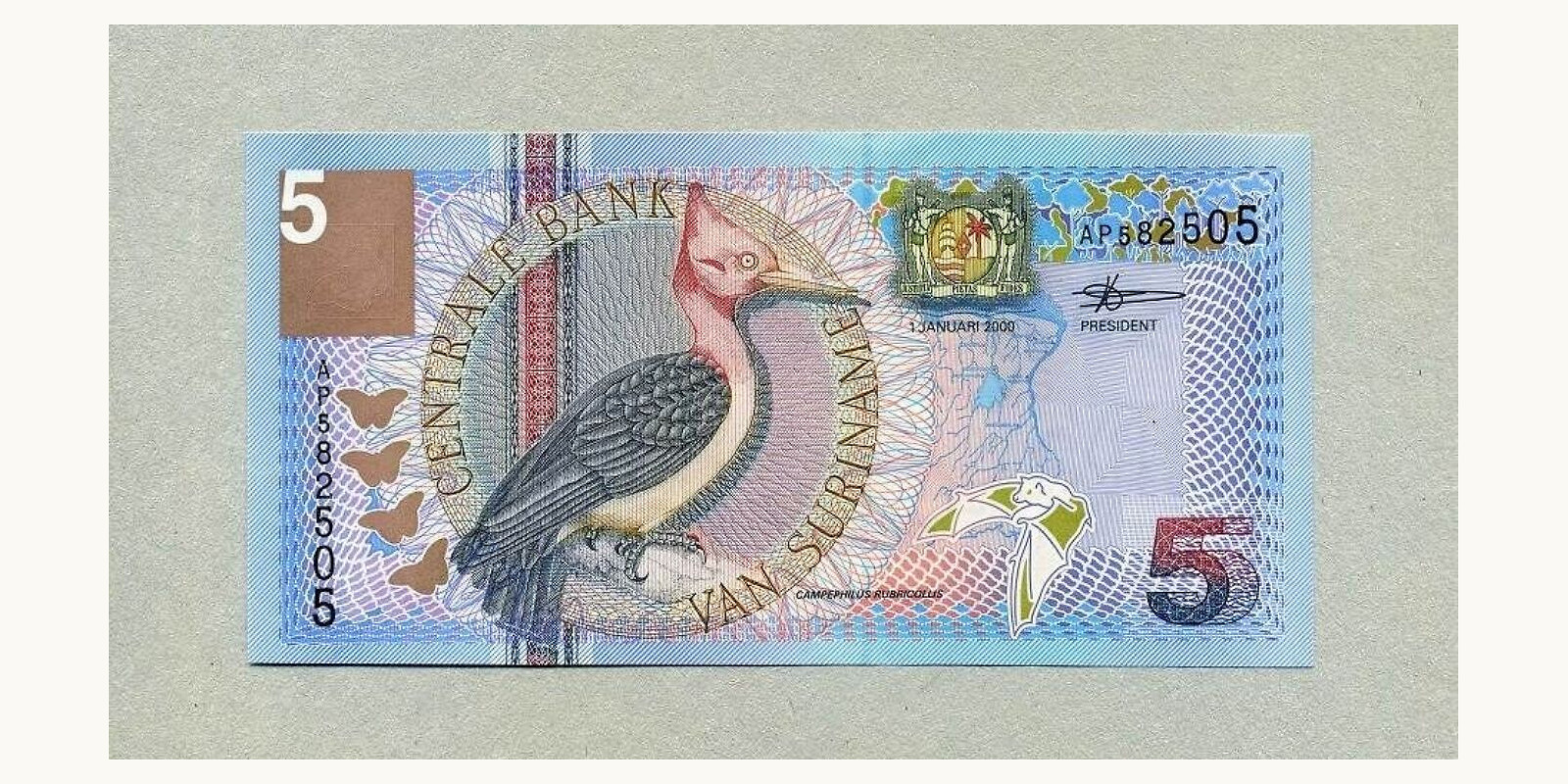 5 gulden Suriname 2000 — Back side