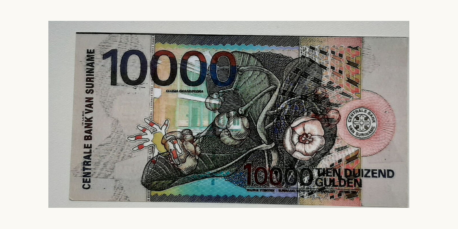 10000 gulden Suriname 2000 — Back side