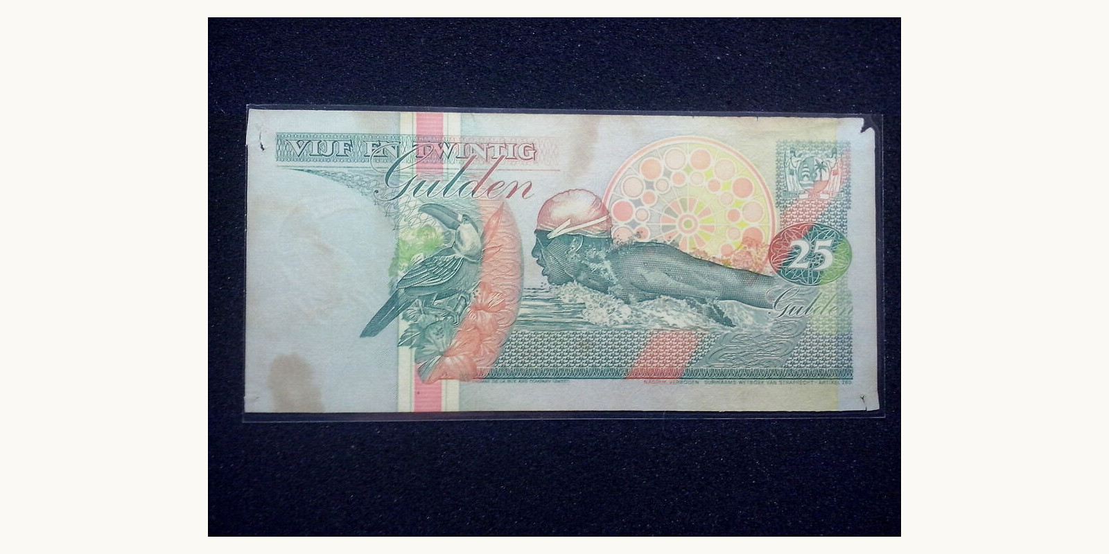 25 gulden Суринам 1991 — Оборотная сторона