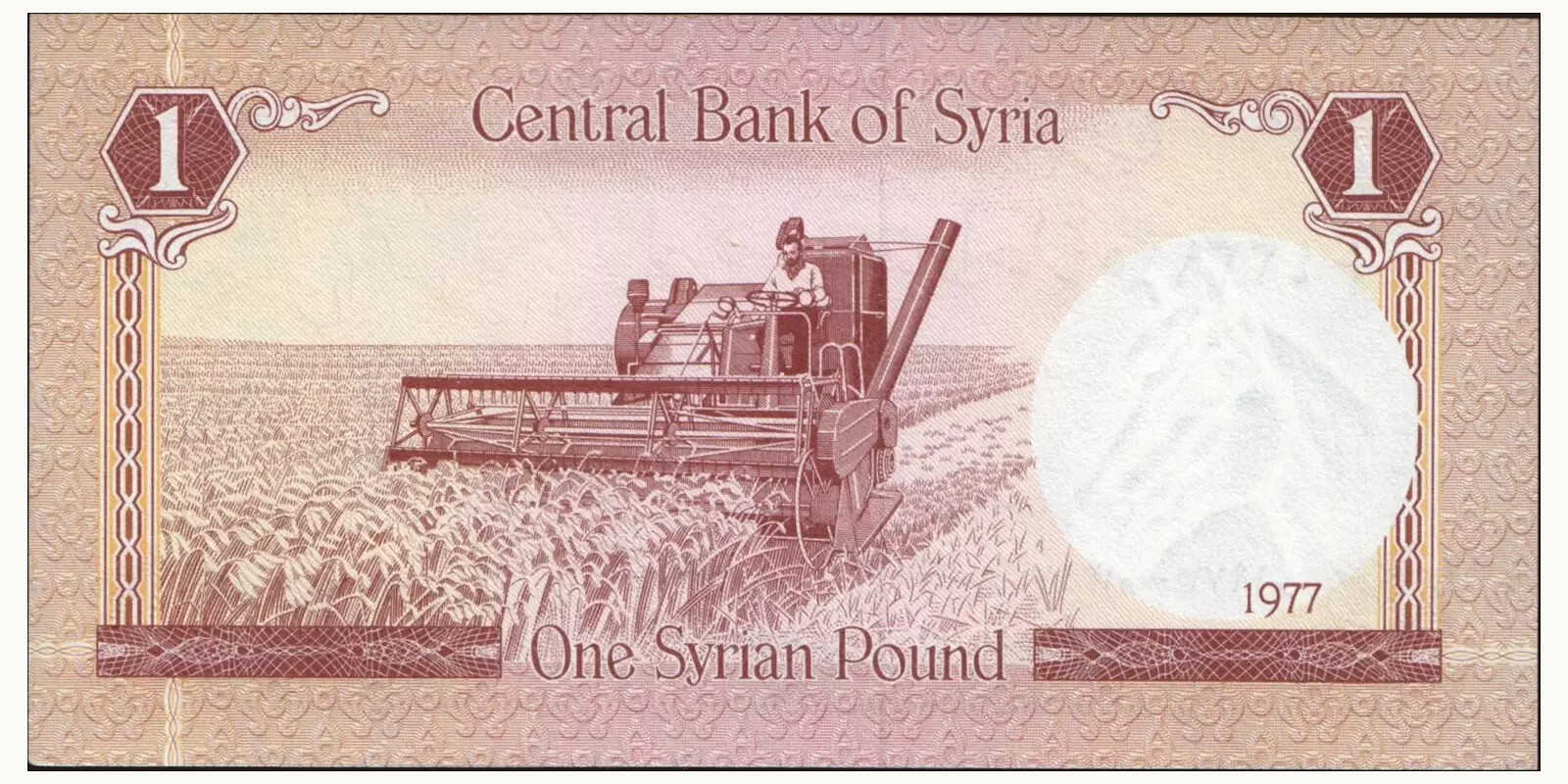 1 pounds Сирия 1977 — Оборотная сторона