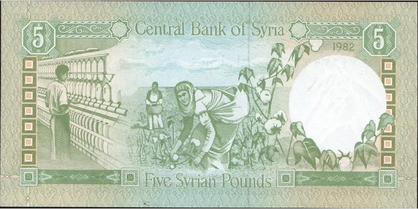 5 pounds Syria 1982 — Back side
