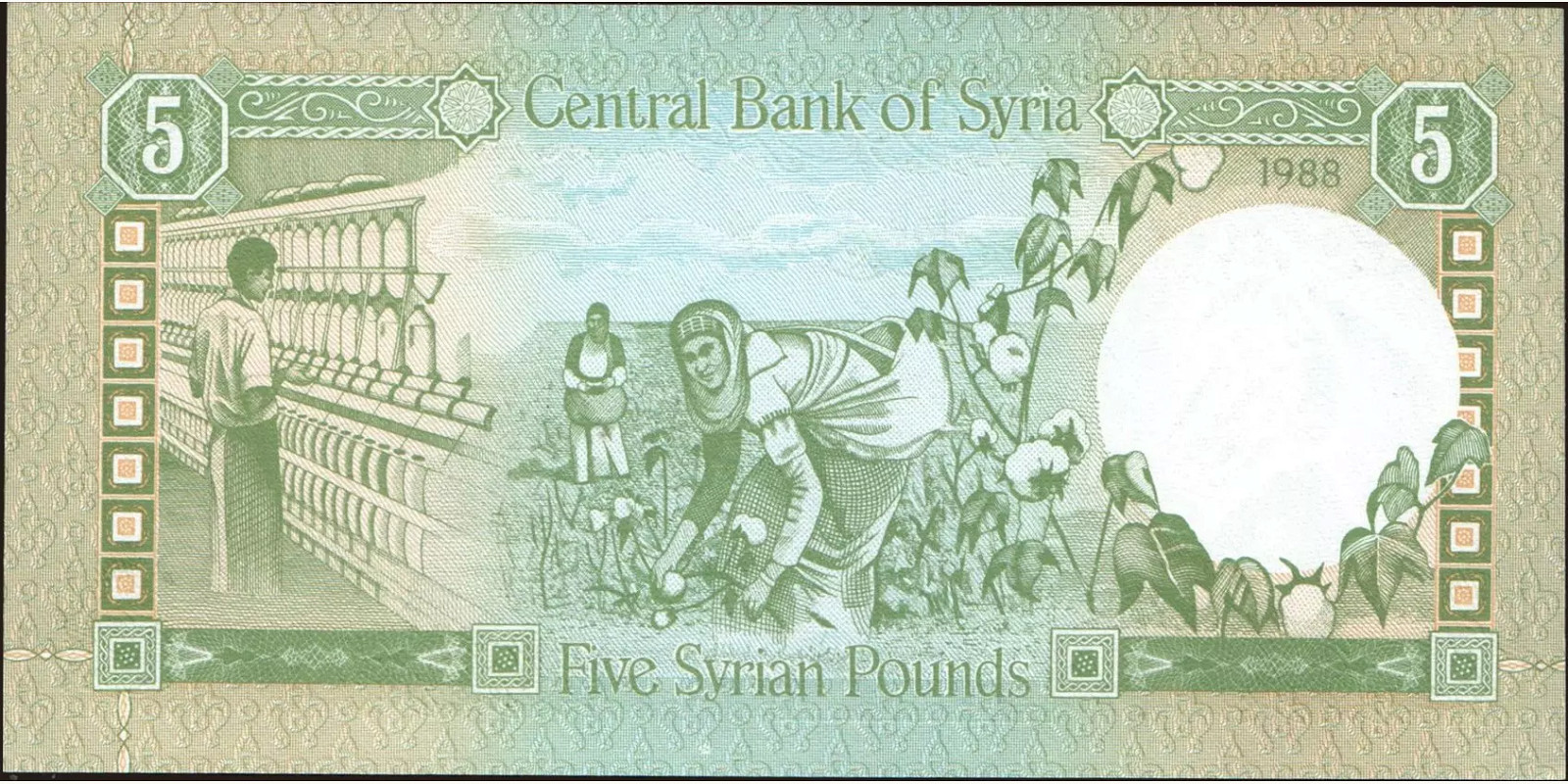 5 pounds Сирия 1988 — Оборотная сторона