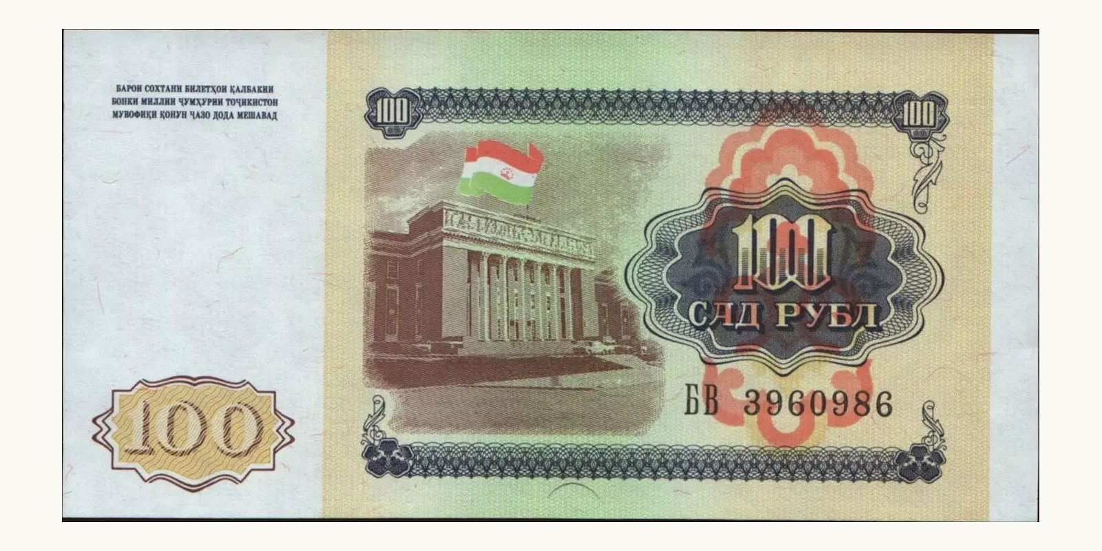 100 rubles Таджикистан 1994 — Оборотная сторона