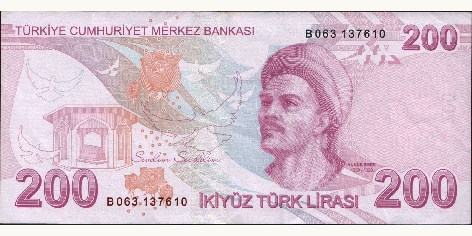 200 lira Turkey 2013 — Back side