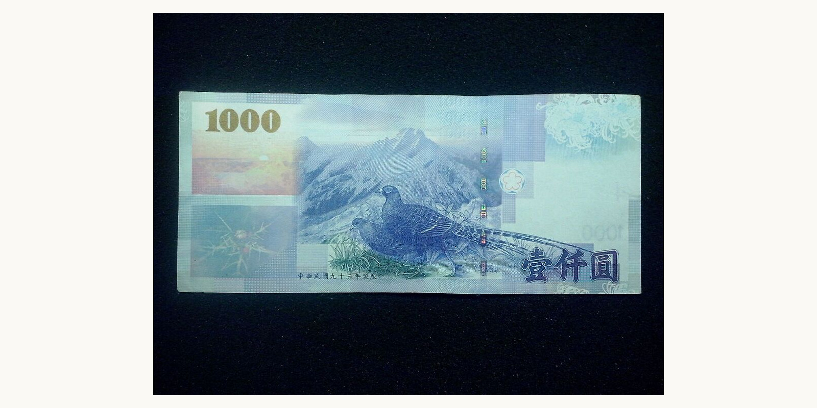 1000 dollars Taiwan 2010 — Back side