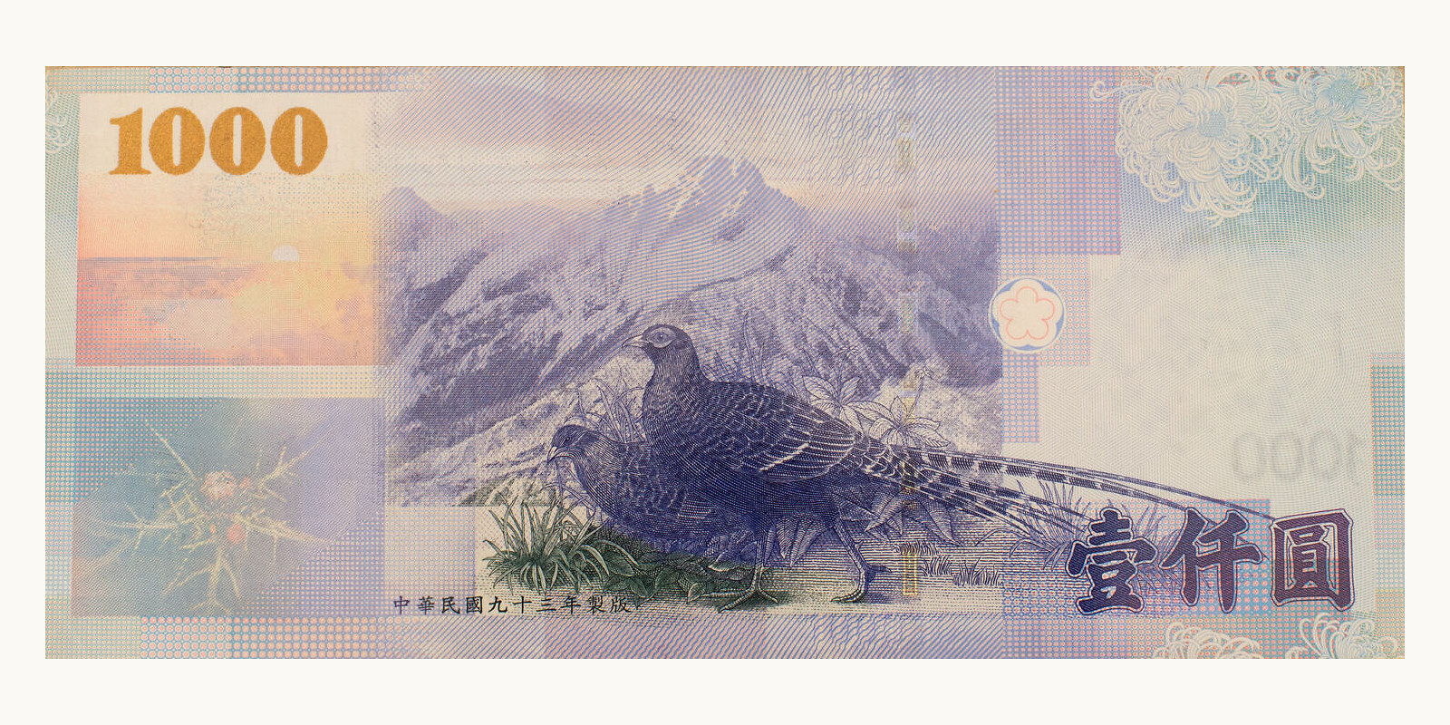 1000 dollars Taiwan 2005 — Back side