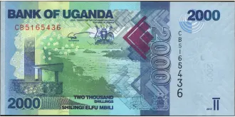 2017 shilling 2000