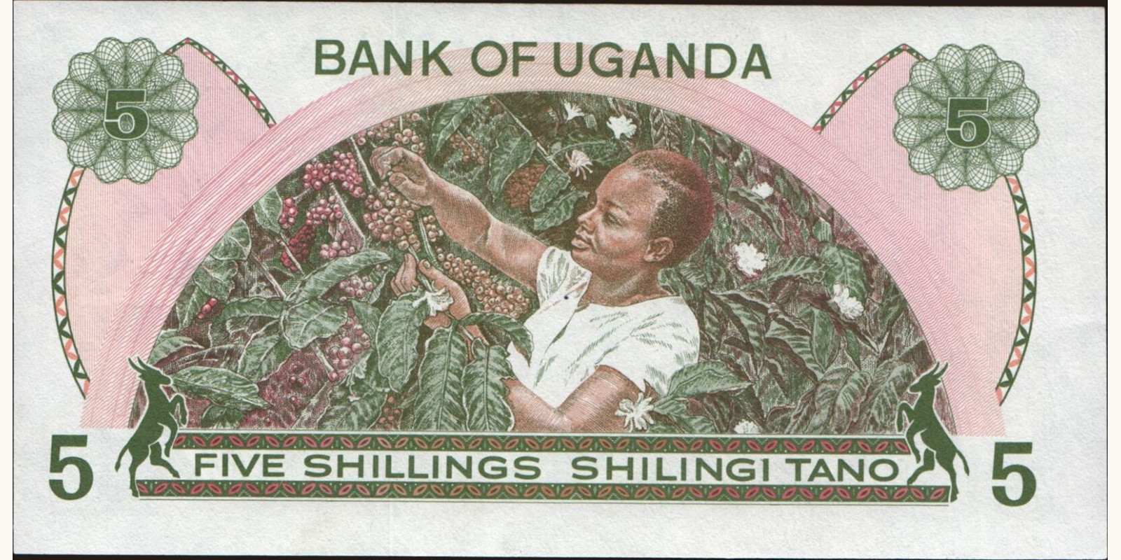 5 shilling Уганда 1982 — Оборотная сторона