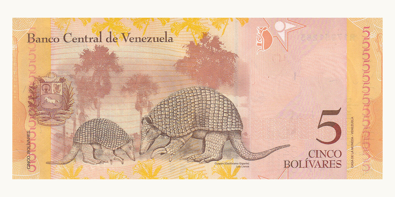 5 bolivars Venezuela 2013 — Back side