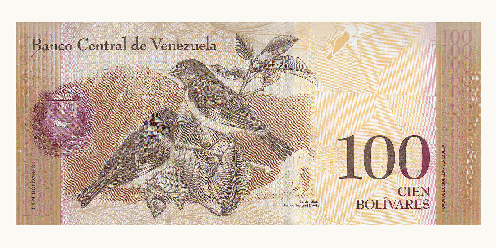 100 bolivars Венесуэла 2013 — Оборотная сторона