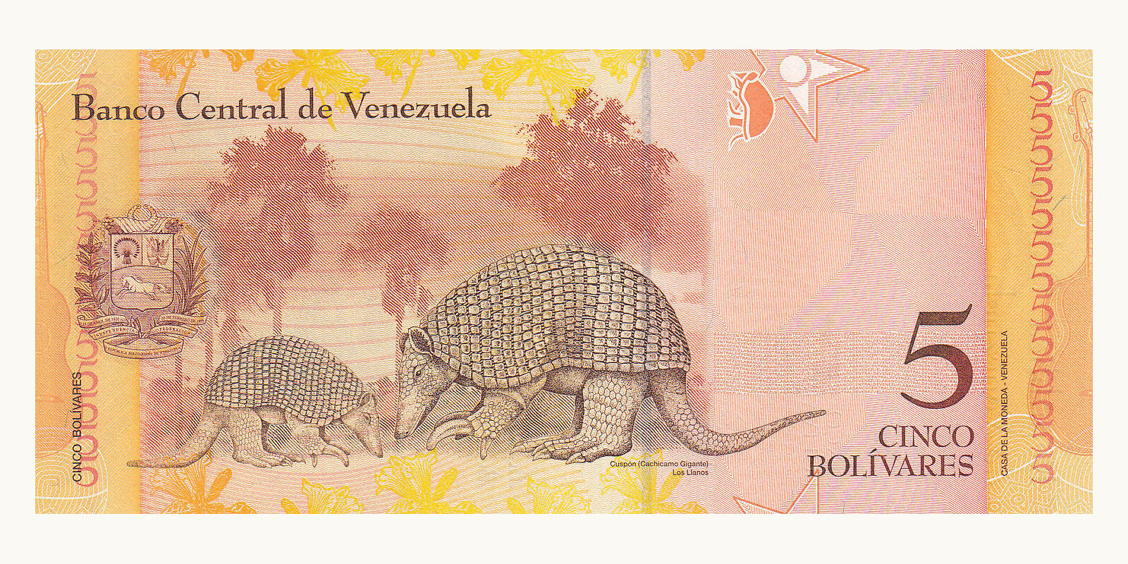 5 bolivars Venezuela 2011 — Back side