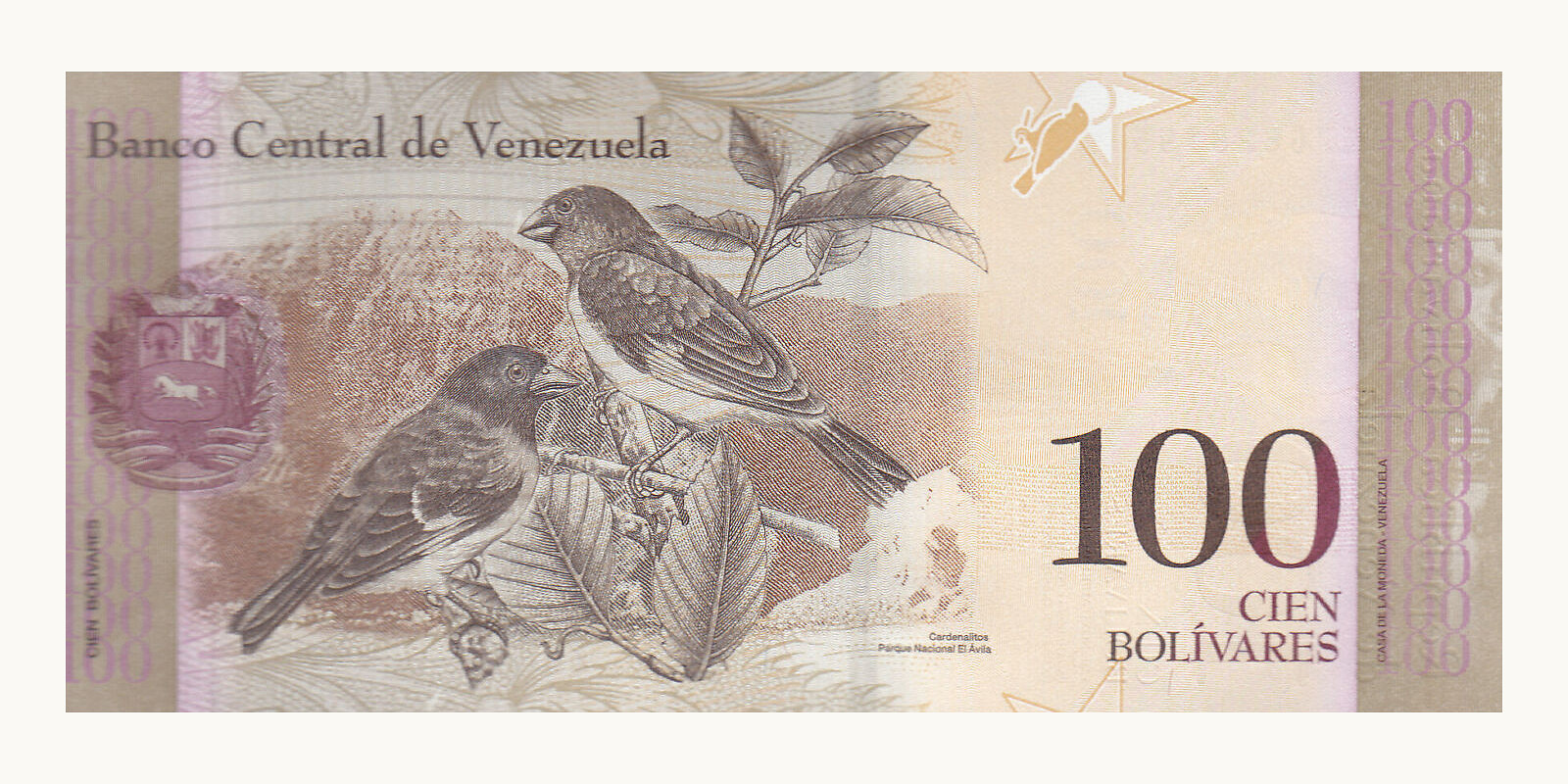 100 bolivars Venezuela 2015 — Back side