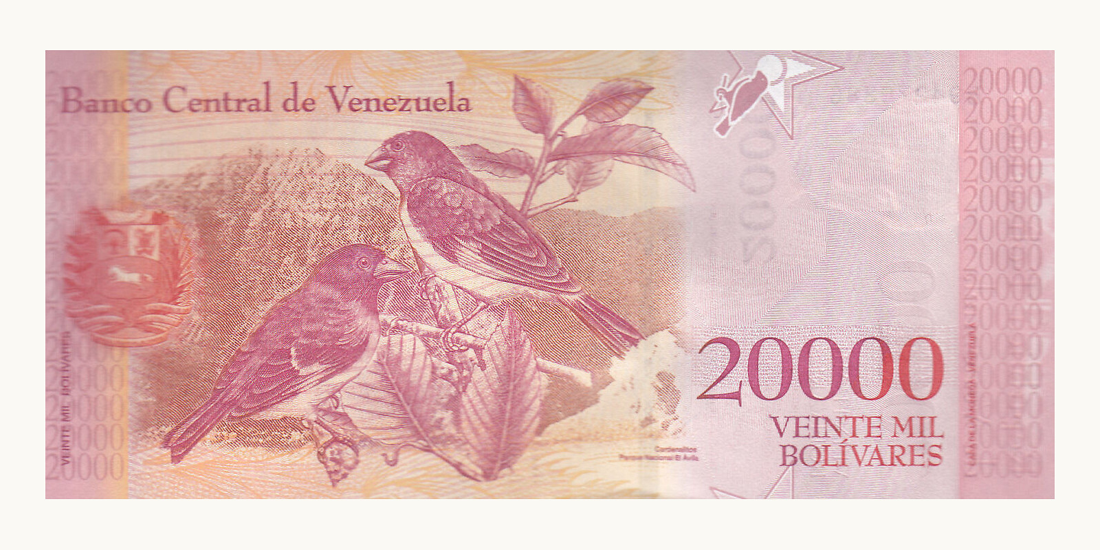 20000 bolivars Venezuela 2017 — Back side
