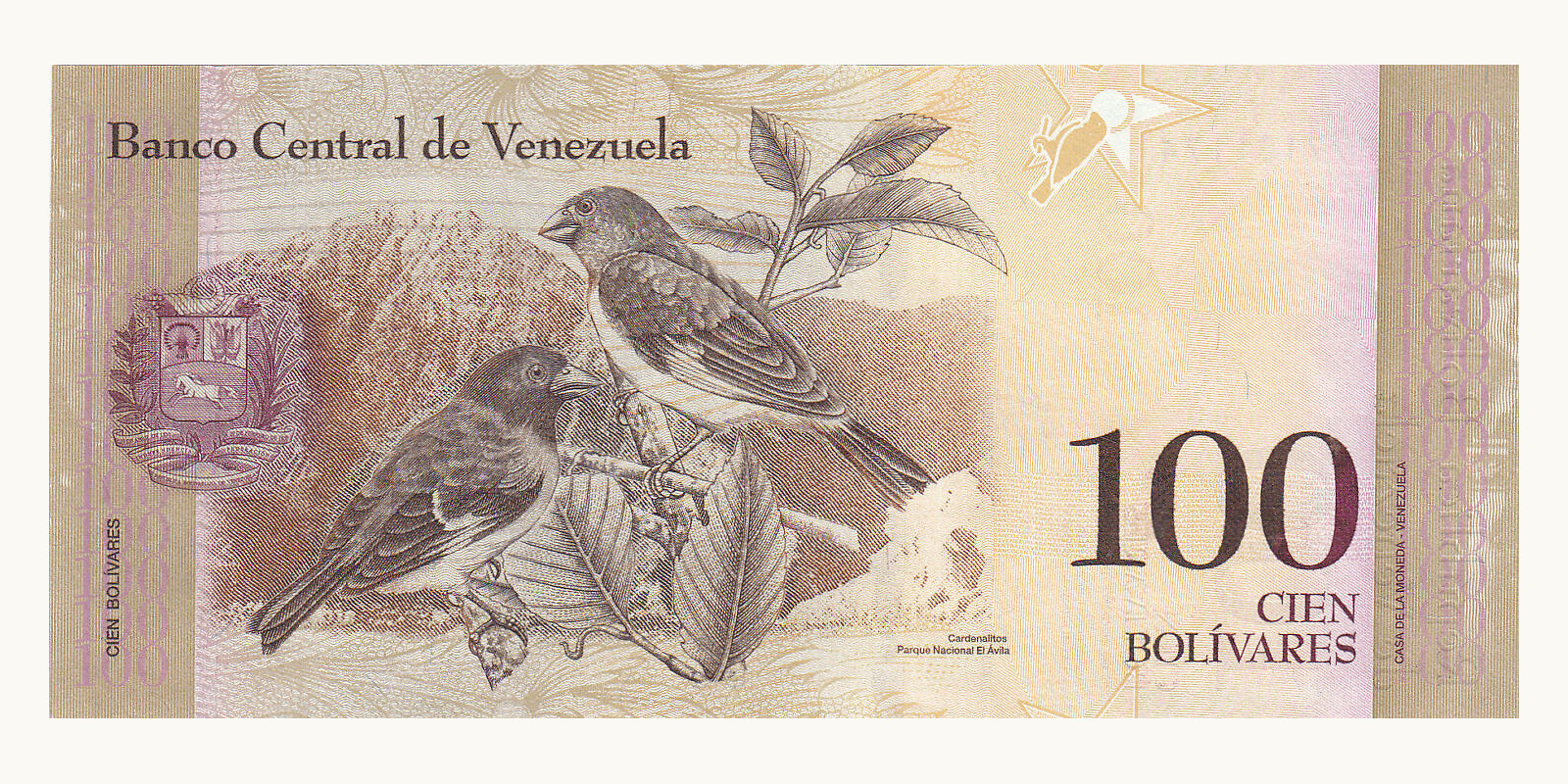 100 bolivars Венесуэла 2014 — Оборотная сторона