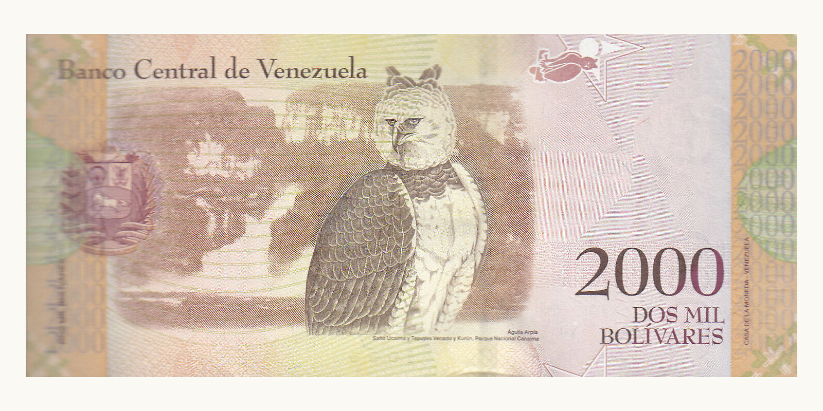 2016 bolivars Venezuela 2000 — Back side