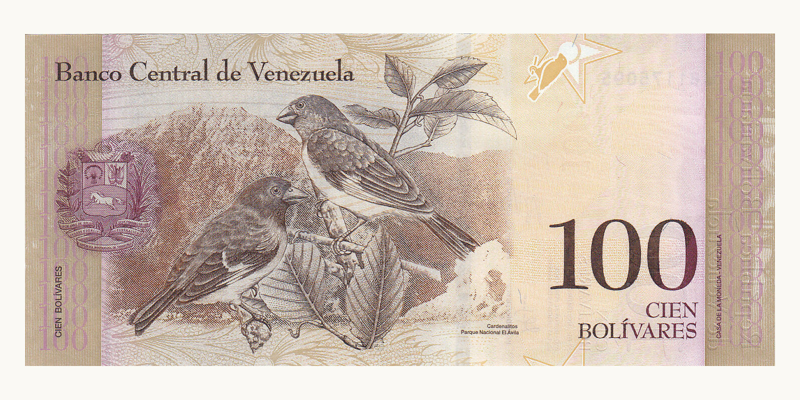 100 bolivares Venezuela 2012 — Back side