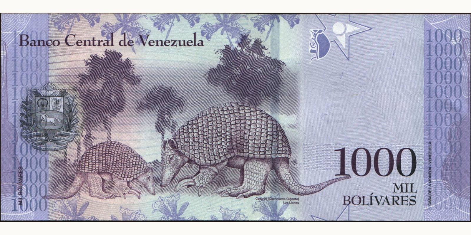 1000 bolivars Венесуэла 2017 — Оборотная сторона