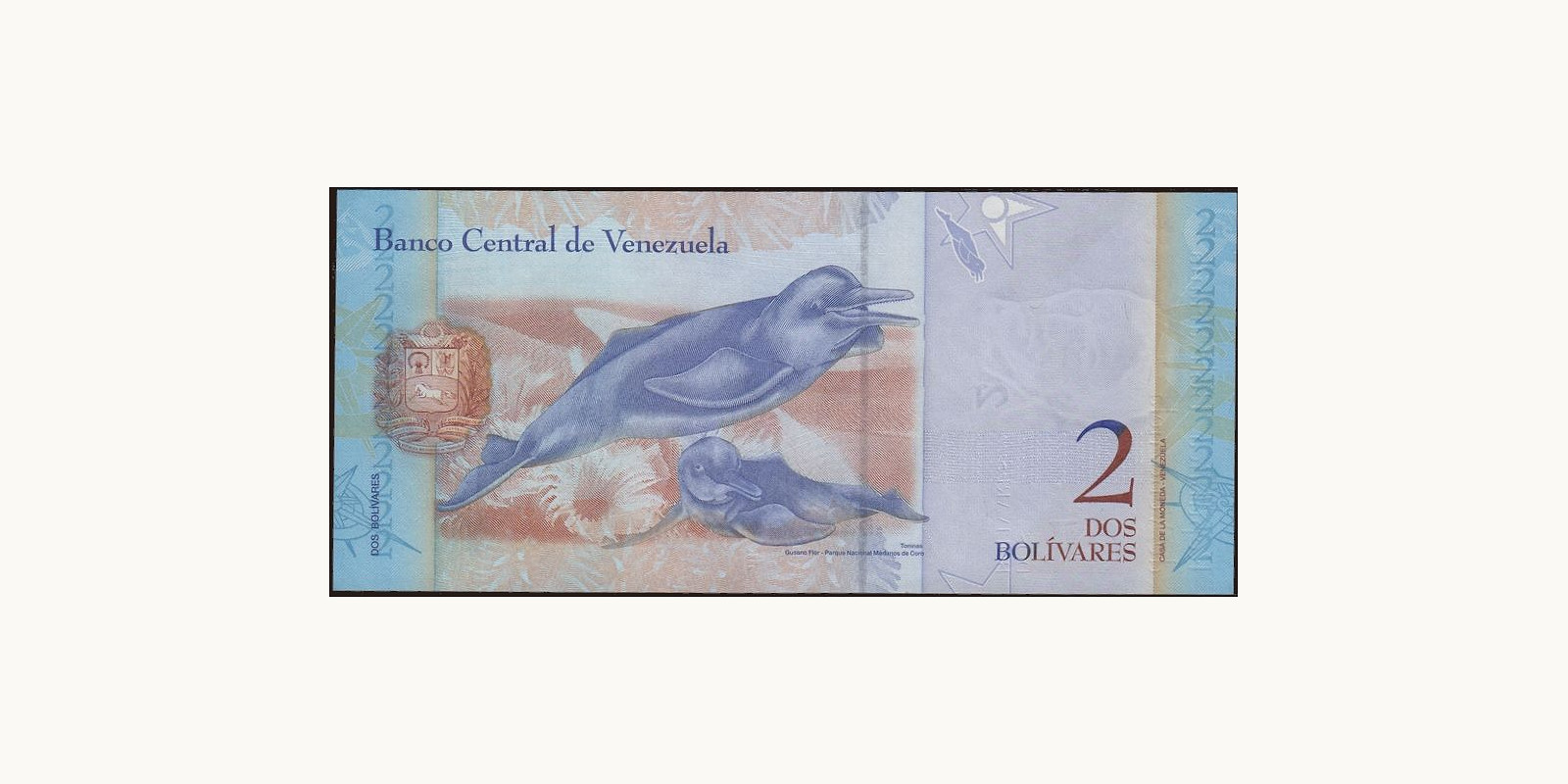 2 bolivars Venezuela 2008 — Back side
