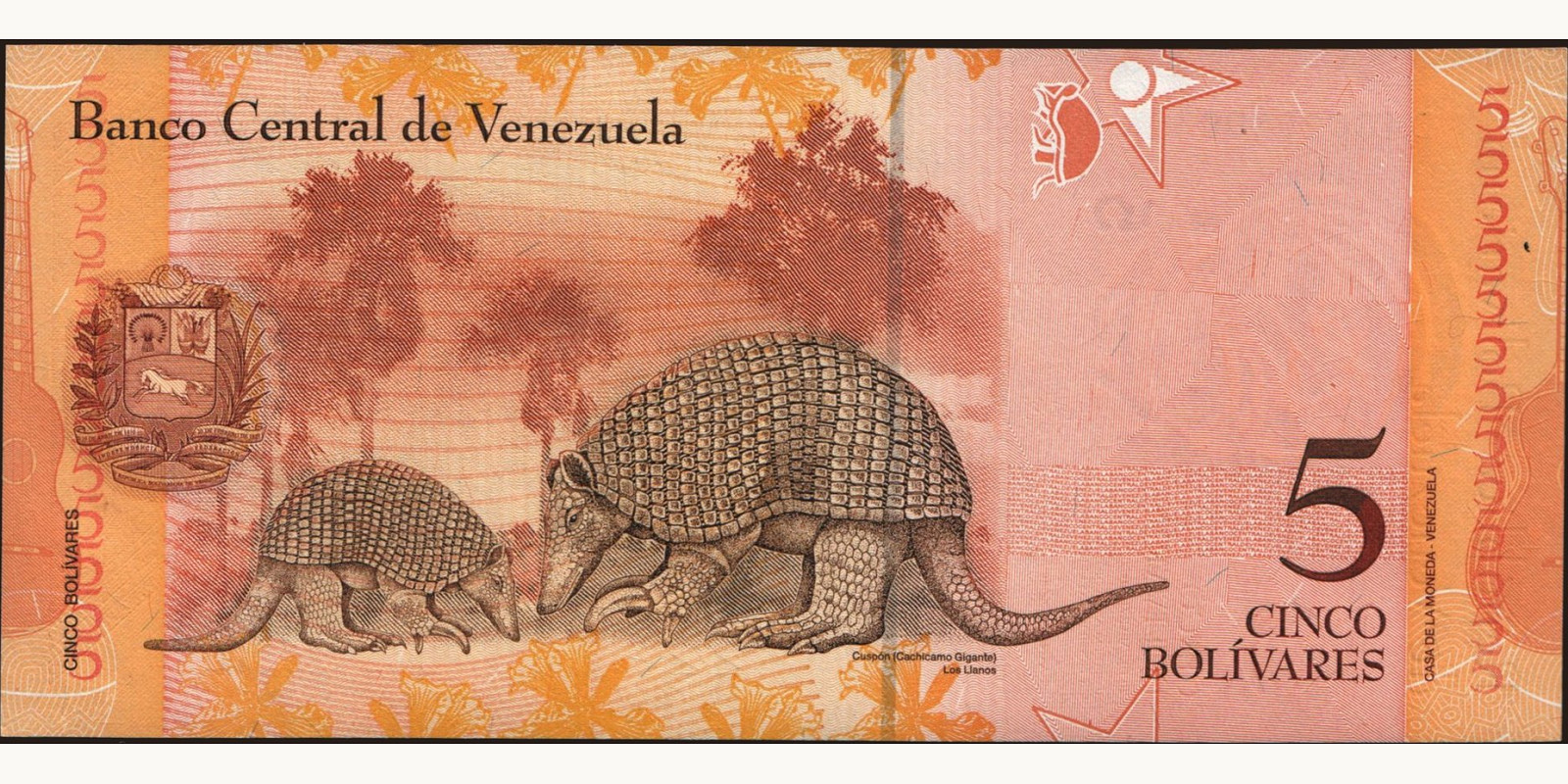 5 bolivars Венесуэла 2007 — Оборотная сторона