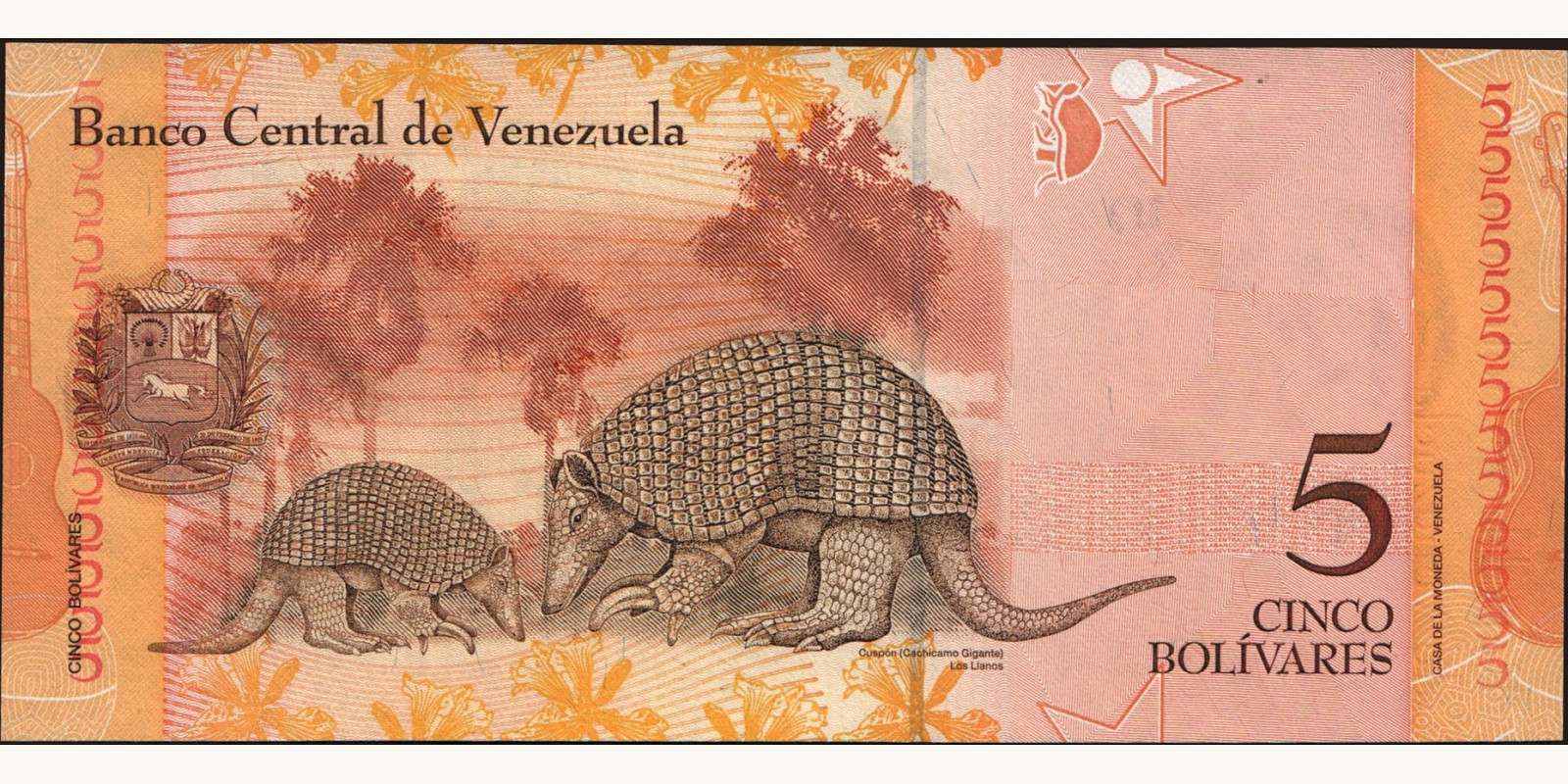5 bolivars Venezuela 2008 — Back side