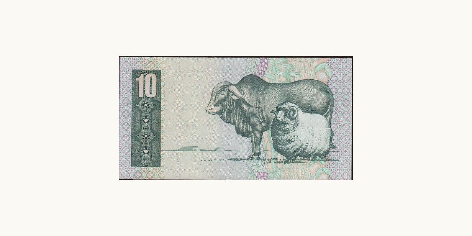 10 rand ЮАР 1981 — Оборотная сторона