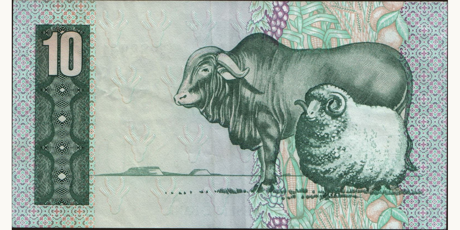 10 rand ЮАР 1982 — Оборотная сторона