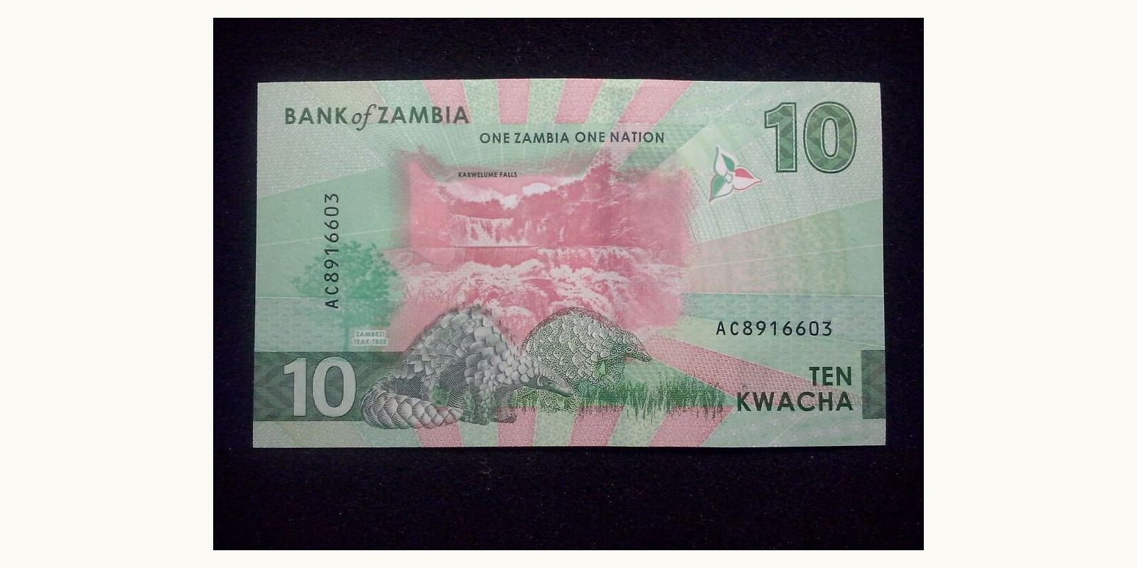 10 kwacha Замбия 2024 — Оборотная сторона