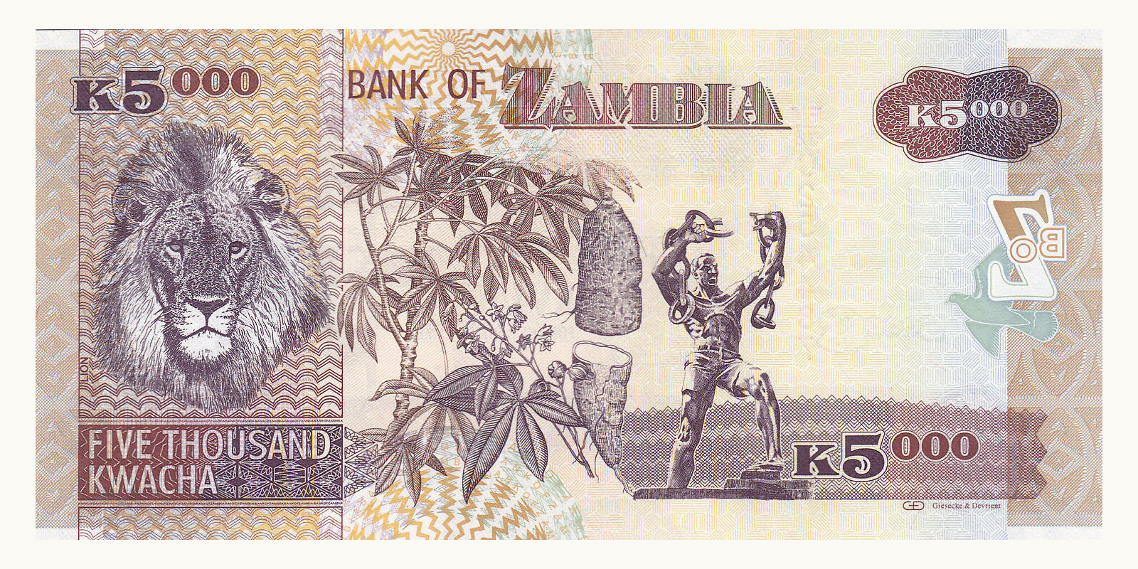 5000 kwacha Замбия 2011 — Оборотная сторона