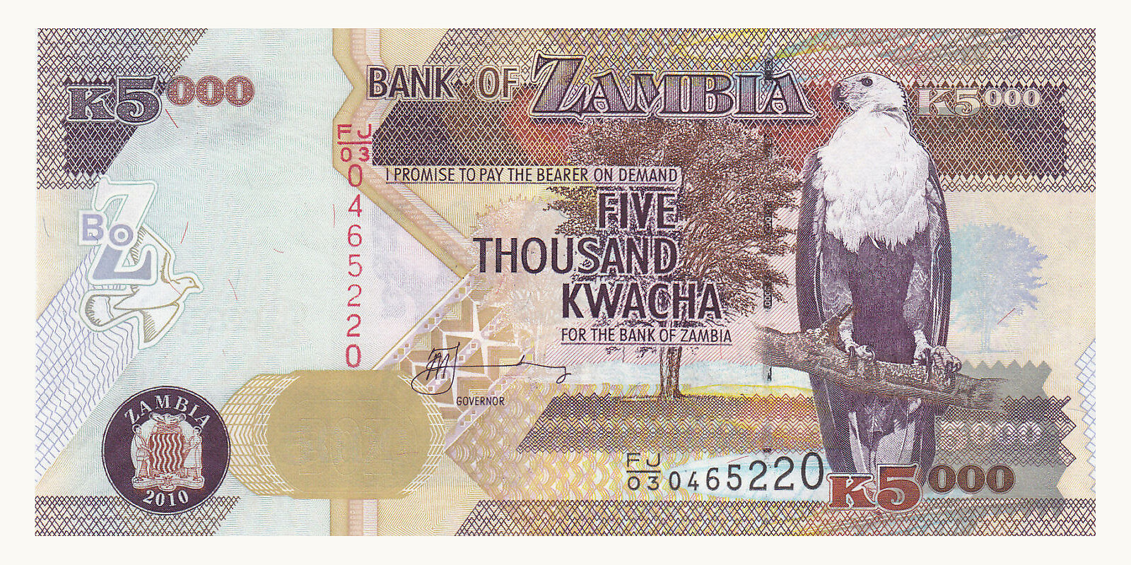 5000 kwacha Замбия 2010 — Лицевая сторона