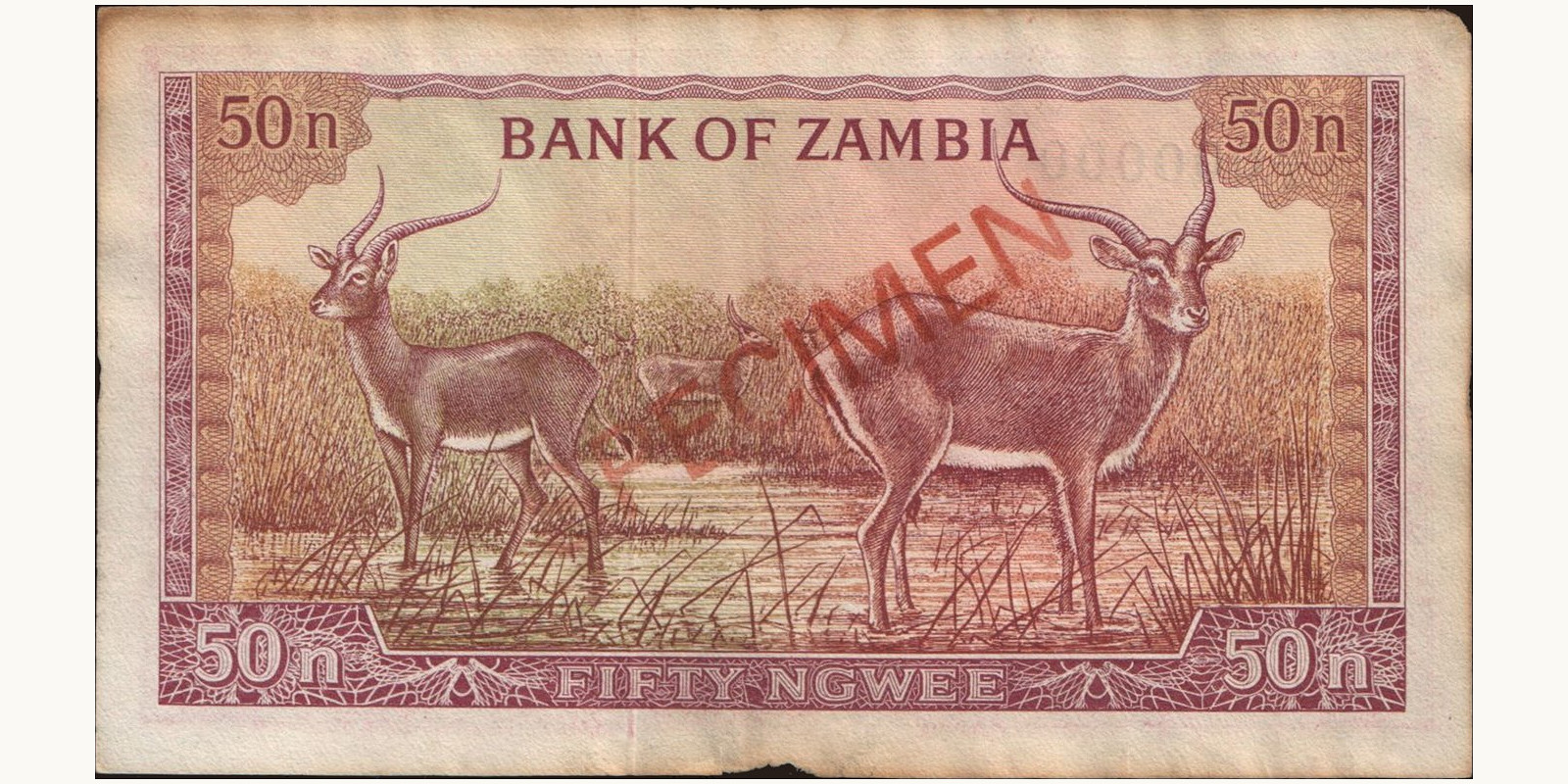 50 ngwee Замбия 1969 — Оборотная сторона