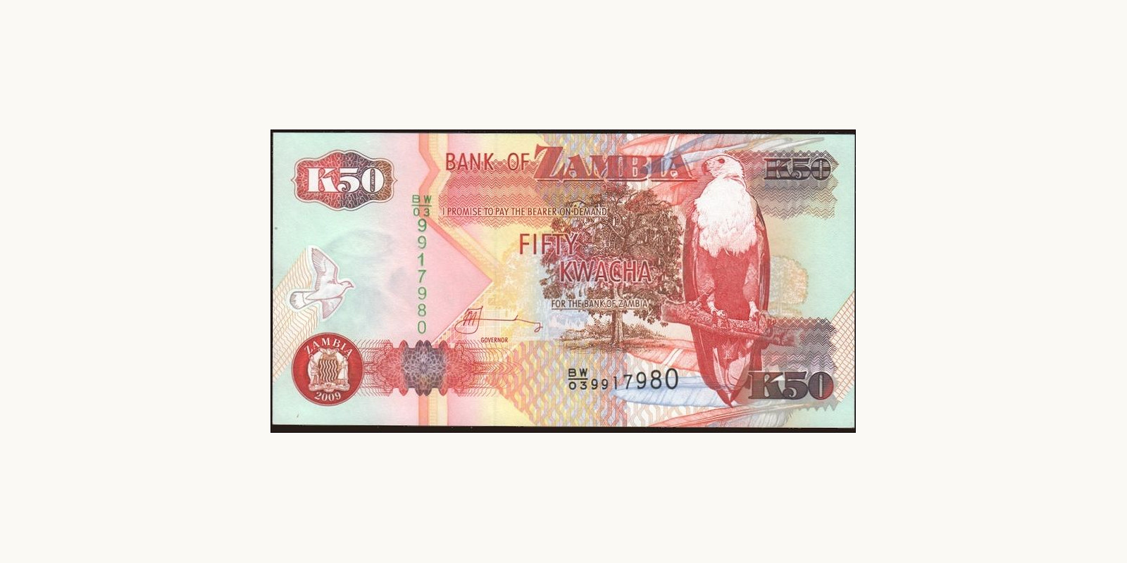 50 kwacha Замбия 2009 — Лицевая сторона