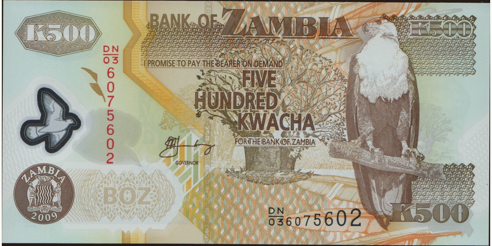 500 kwacha Zambia 2009 — Front side