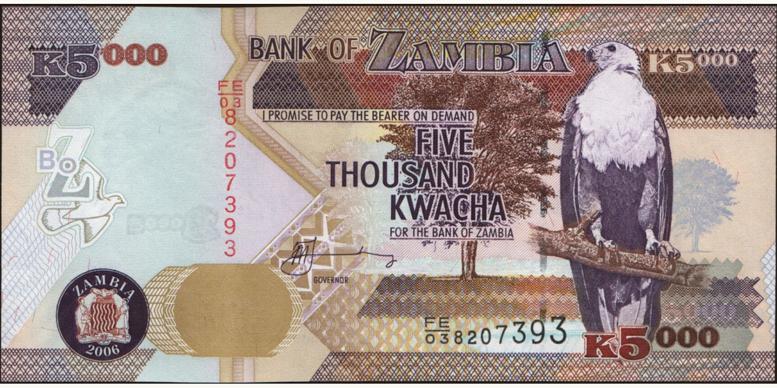 5000 kwacha Замбия 2006 — Лицевая сторона