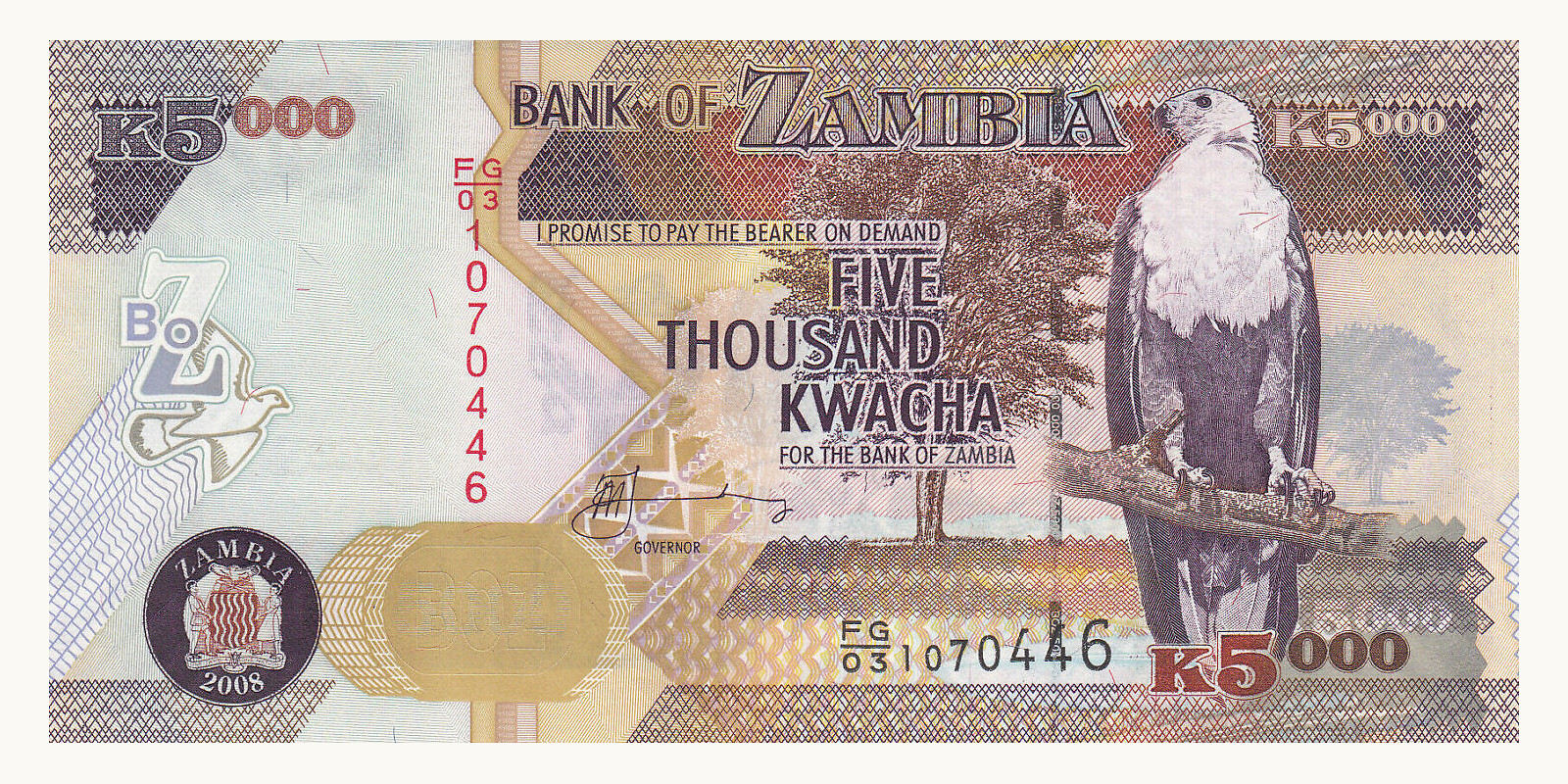 5000 kwacha Замбия 2008 — Лицевая сторона