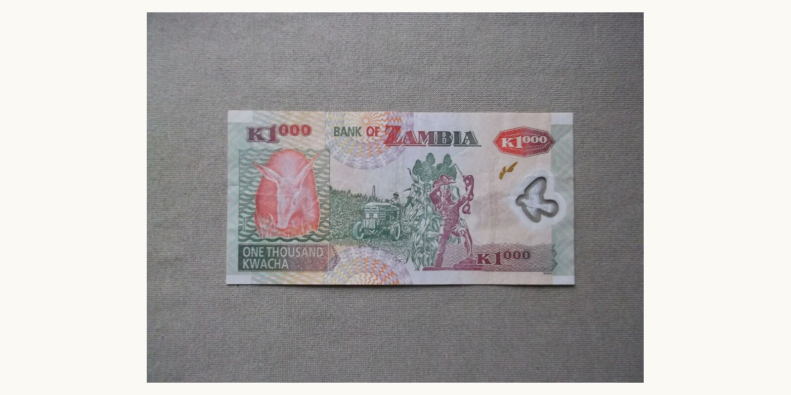 1000 kwacha Zambia 2008 — Back side