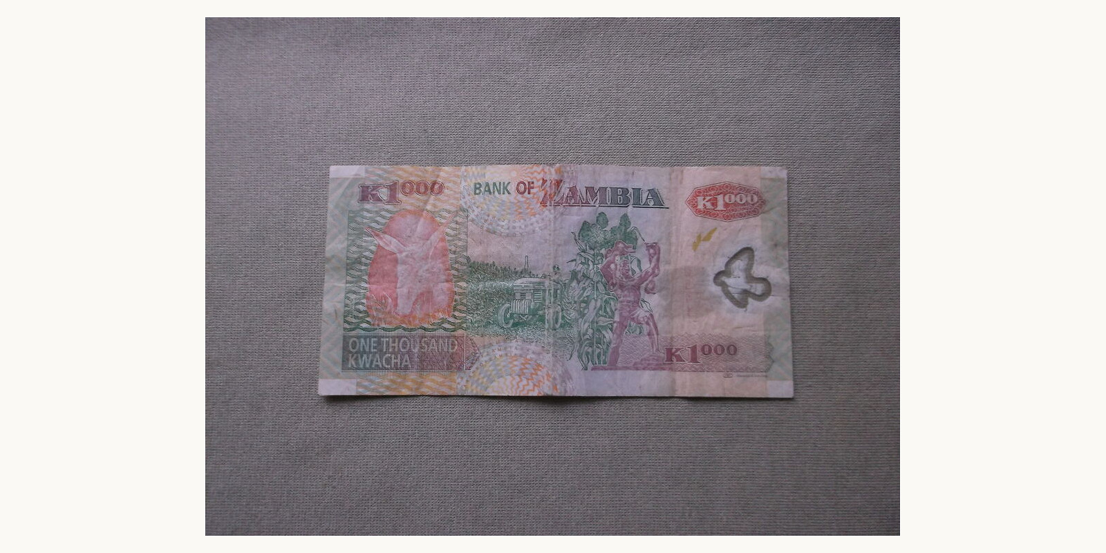 1000 kwacha Замбия 2011 — Оборотная сторона