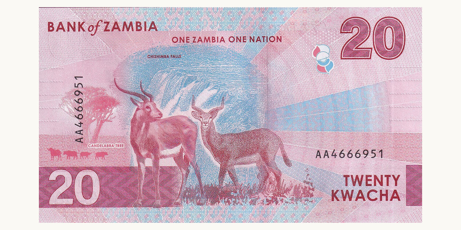 20 kwacha Замбия 2025 — Оборотная сторона