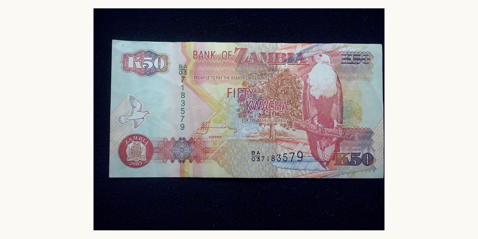 20 kwacha Замбия 2003 — Лицевая сторона