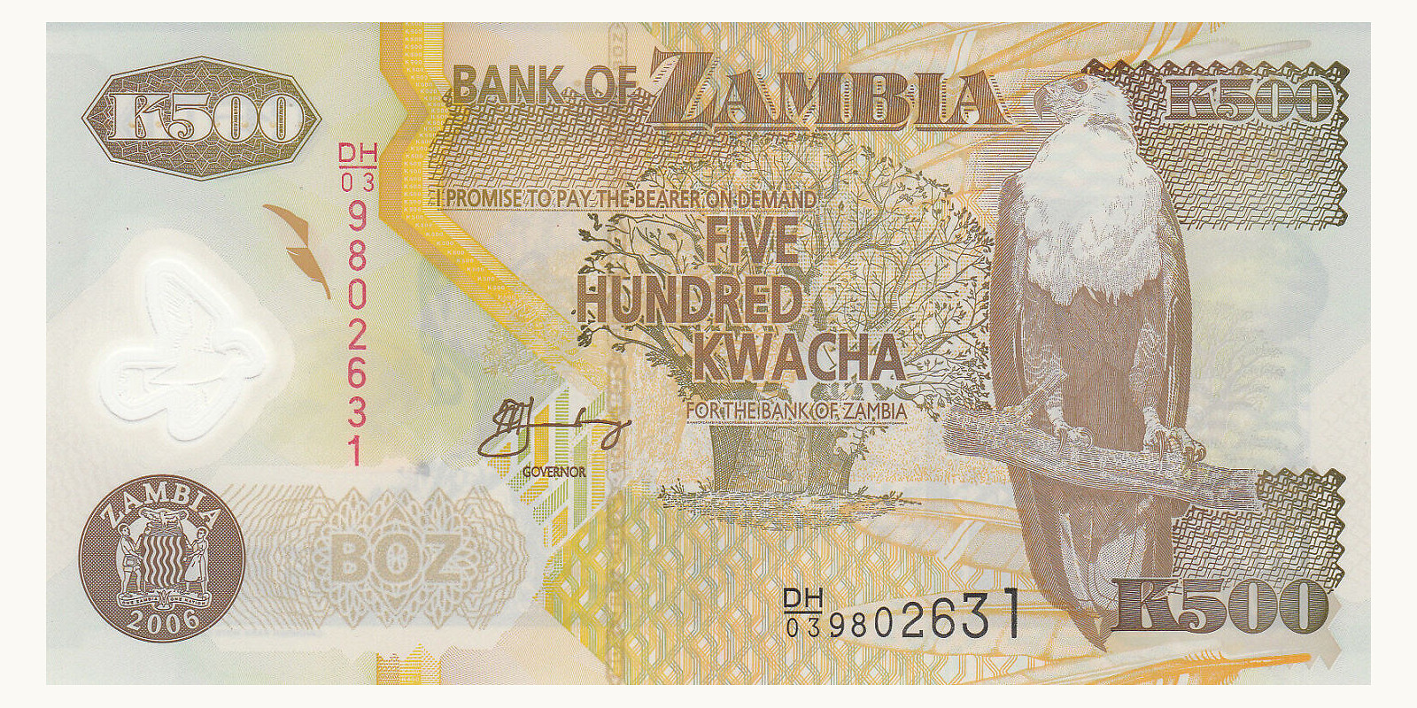 500 kwacha Zambia 2006 — Front side