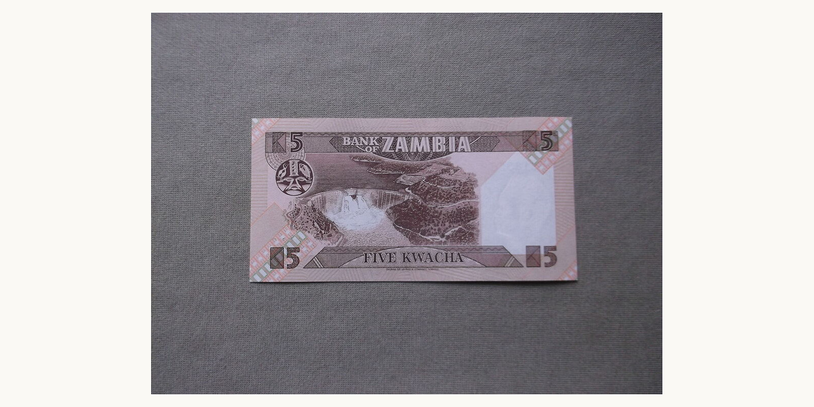 5 kwacha Замбия 1986 — Оборотная сторона