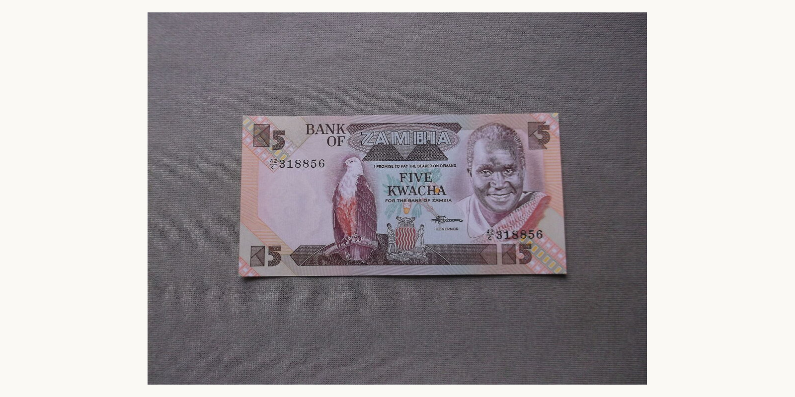 5 kwacha Замбия 1986 — Лицевая сторона