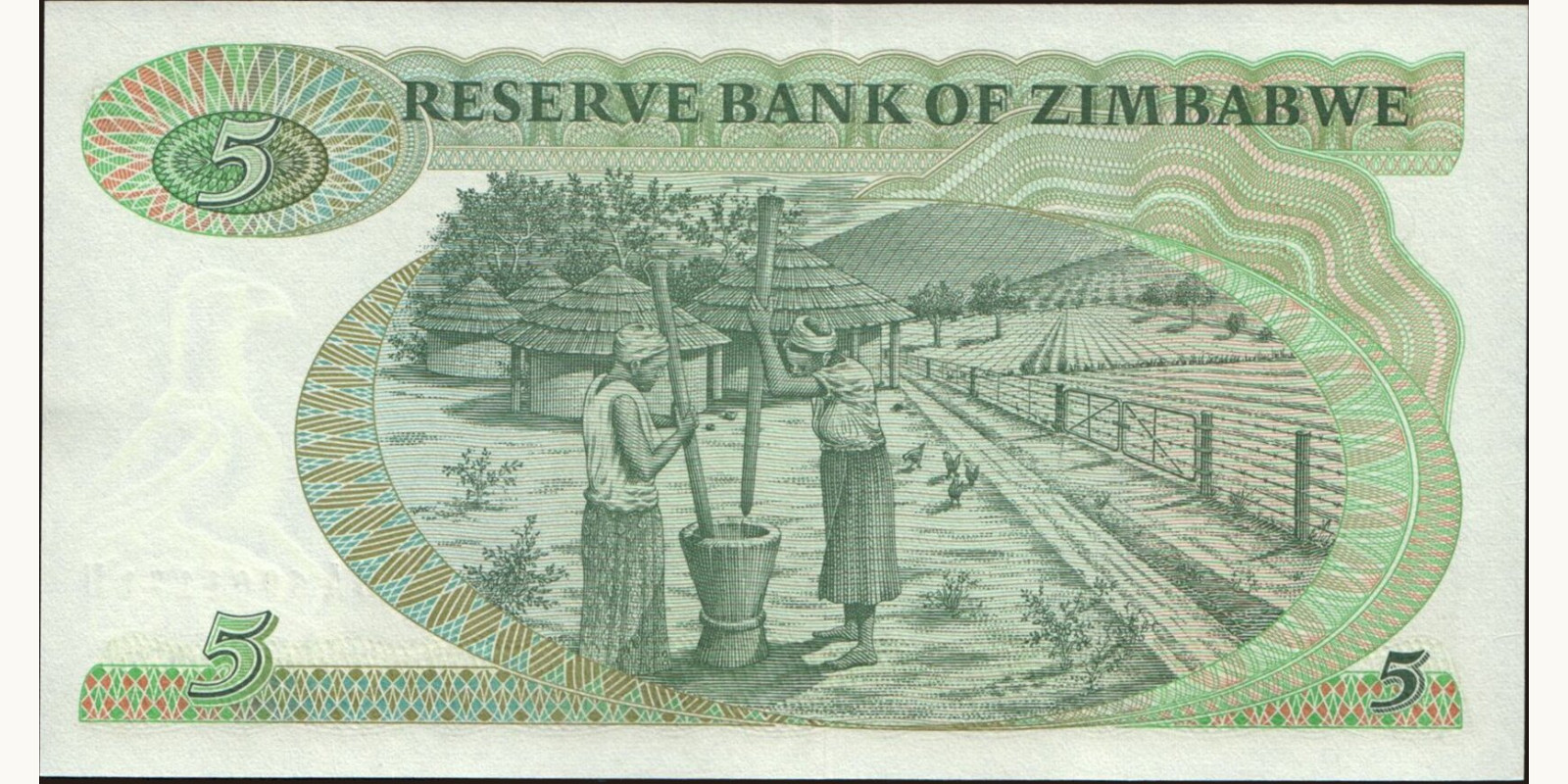 5 dollars Zimbabwe 1994 — Back side