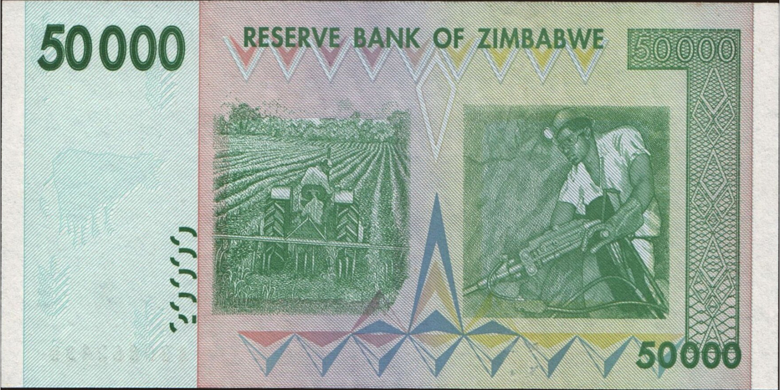 50000 dollars Зимбабве 2008 — Оборотная сторона