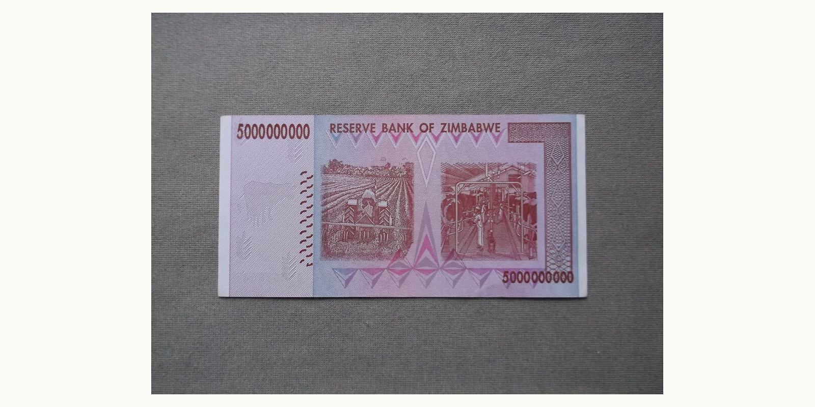 5 dollars Zimbabwe 2008 — Back side