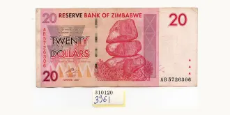 20 dollars 2007
