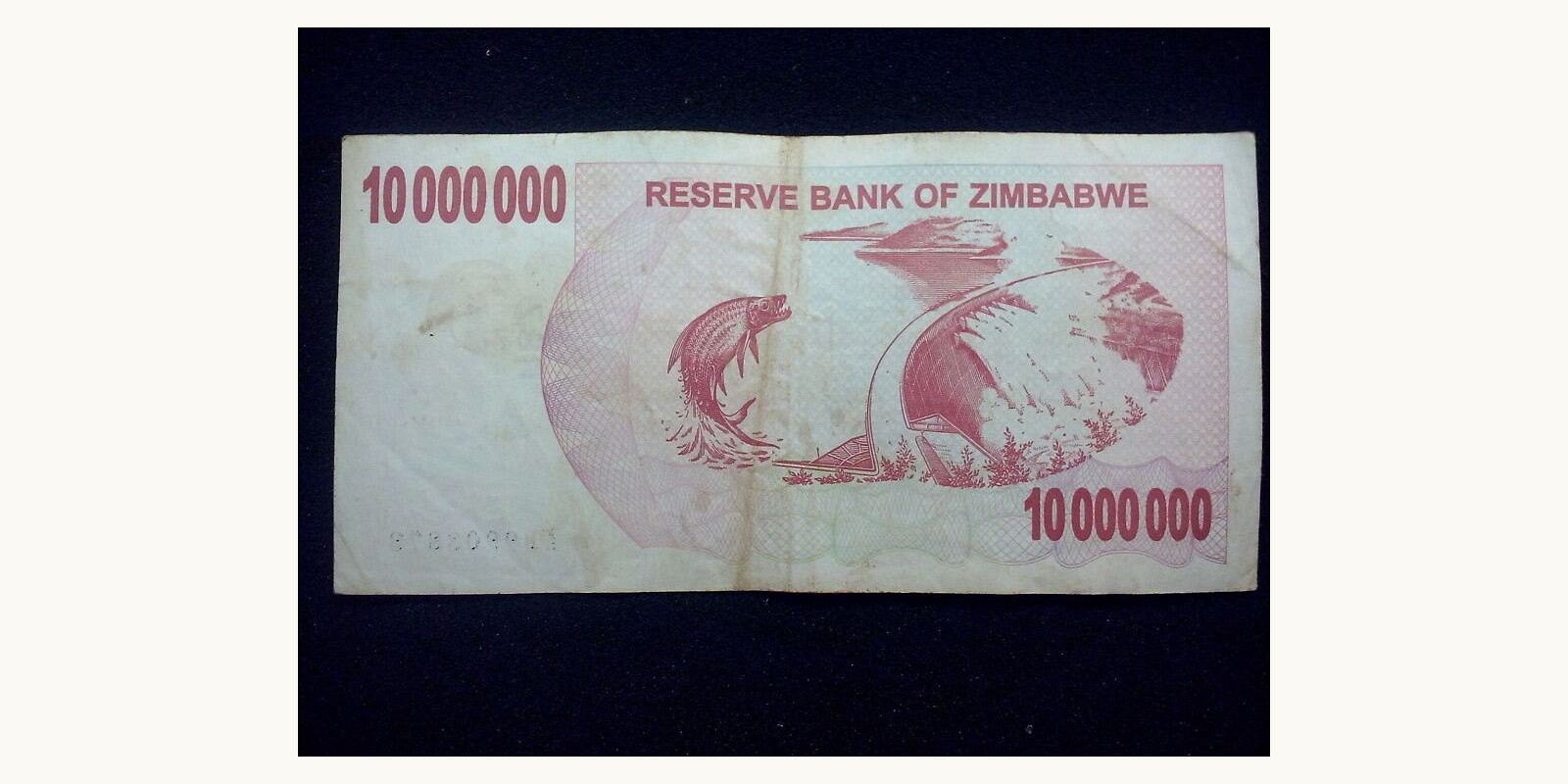 10 dollars Zimbabwe 2008 — Back side